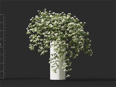 Lush Green Plants With White Flowers In Elegant White Vase For Indoor Decor 3d model