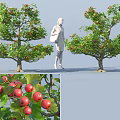 Lush Green Trees With Red Fruits And Foliage Beside Standing Figure