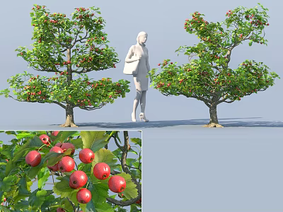 Lush Green Trees With Red Fruits And Foliage Beside Standing Figure 3d model