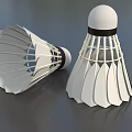 Two White Badminton Shuttlecocks With Feather Structure And Black Rubber Heads