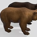 Two Brown and Black Bears Standing with Open Mouths on Gray Background 3d model
