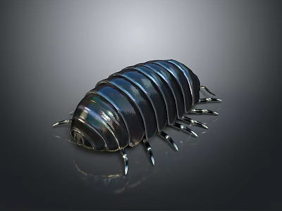 Shiny Dark Blue Pill Bug With Segmented Body Multiple Legs On Reflective Gradient Background 3d model
