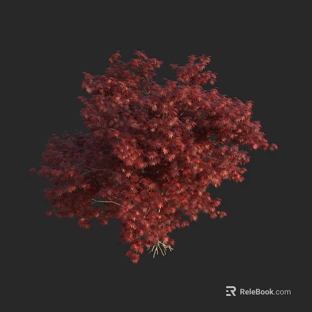 Lush Ornamental Arbor with Vibrant Red Leaves for Garden Landscape Design 3d model 