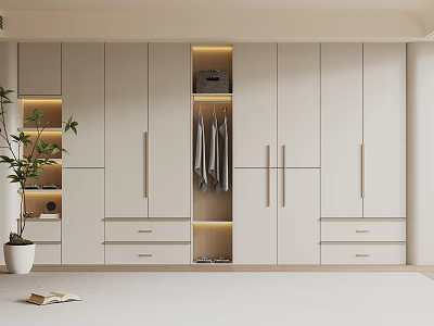 Modern White Wardrobe Design With Drawers Hanging Area LED Lighting And Side Plant 3d model