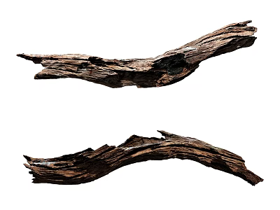 Rustic Natural Wooden Branch Decorative Ornament Set With Earthy Texture For Home Decor 3d model