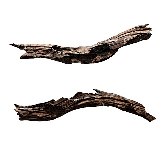 Dead Wood Carving Ornaments 3d model