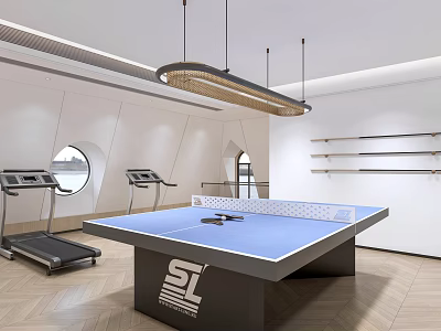Modern Recreation Room Interior Design With Table Tennis Table And Treadmills 3d model