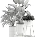 Various Green Potted Plants with Large Leaves Ferns and Stylish Pots on Stands