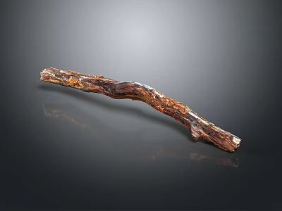 Natural Textured Wood Branch With Brown Orange Color And Glossy Reflection On Dark Background 3d model
