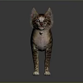 Realistic Brown And Black Striped Cat Standing With Yellow Eyes On Gray Background