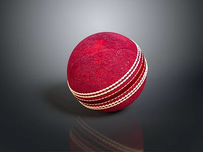 Red Leather Cricket Ball With White Stitches Sports Equipment For Training Matches 3d model