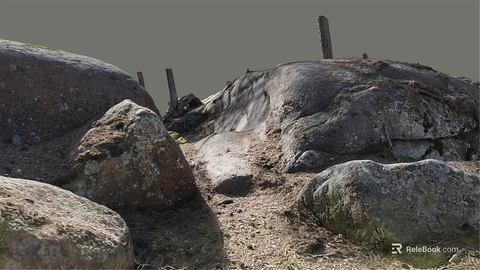 Natural Outdoor Scene Featuring Large Stones And Wooden Posts With Dirt And Wild Grass 3d model 