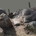 Natural Outdoor Scene Featuring Large Stones And Wooden Posts With Dirt And Wild Grass