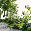 Modern Garden Landscape Design With Trees Gravel Rocks And Green Plants
