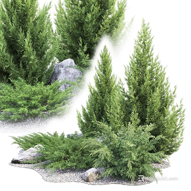 Lush Green Shrubs in Natural Landscaping with Decorative Rocks and Fresh Foliage 3d model 