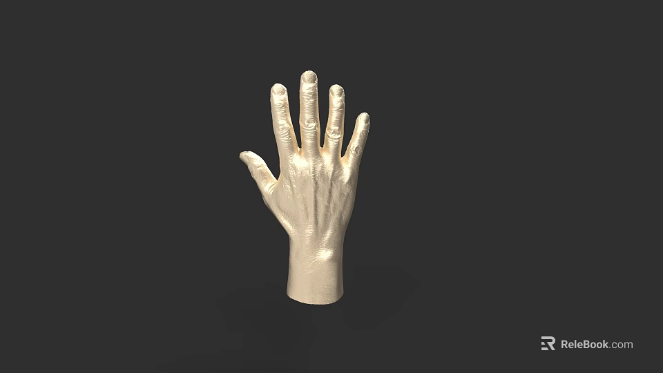 Realistic Detailed Human Hand Model With Textured Surface And Extended Fingers 3d model 