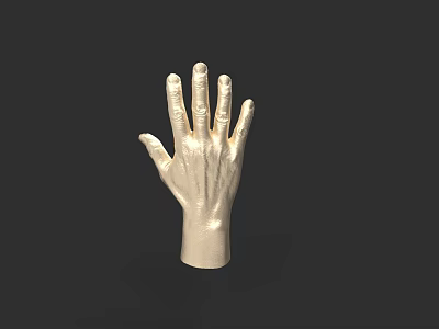Realistic Detailed Human Hand Model With Textured Surface And Extended Fingers 3d model