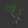 Artistic Bonsai Tree Decorative Indoor Furniture With Curved Trunk And Green Foliage