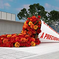 Scattered Red Yellow Roses With Tilted White Scroll Showing A Precious Gift Near Modern Building