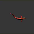 Shiny Red And Gold Arowana Aquatic Animal With Vibrant Scales Swimming Gracefully