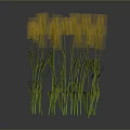 Green Stemmed Plants With Orange Spiky Flowers Against Gray Background