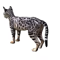 Spotted Striped Cat Standing Side View With Gray White Fur And Green Eyes Looking Left
