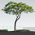 Slender Trunk Arbor in Black Planter with Green Leaves Red Flowers Patio Blue Sky