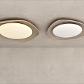 Irregular ceiling lamp 3d model