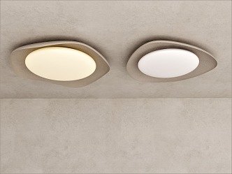 Irregular ceiling lamp 3d model