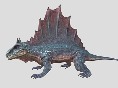 Realistic Reptile With Sailback Blue Red Scaly Skin Detailed Design 3d model