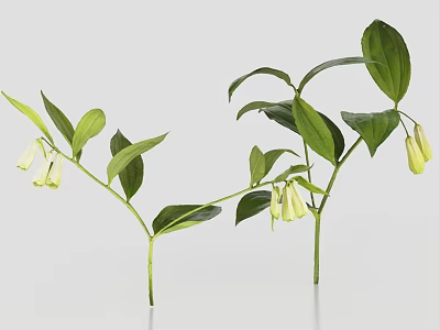 Po Duo Lantern 3d model Po Duo Lantern 3d model