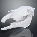 Modern Skull Animal Skull Fossil Skeleton Animal Skeleton 3d model
