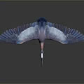 Flying Heron With Spread Blue Wings Red Neck Yellow Beak And Red Legs