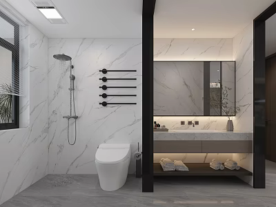 Modern Bathroom Interior Design With Marble Walls Shower Toilet And Vanity Mirror 3d model