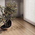 Warm Minimalist Wood Tone Living And Dining Room With Large Bay Window And Storage Cabinets