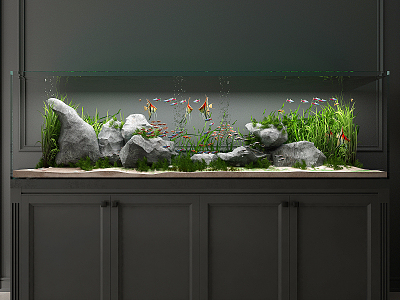 Modern fish tank model