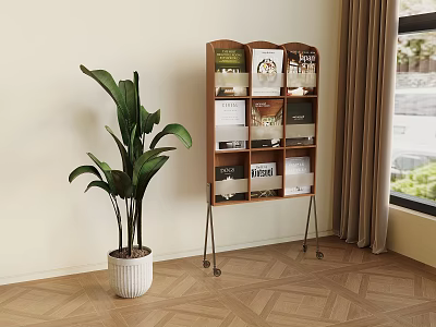 Modern Wooden Bookcase with Books and Green Plant near Window Curtain on Wooden Floor 3d model