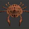Realistic 3D Render of Spiky Orange Crab with Sharp Claws and Exoskeleton