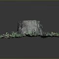 Natural Wooden Stump Surrounded By Green Vines Moss Mushrooms And Fallen Leaves