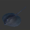Blue Ray With Flat Body And Long Tail In Gray Background 3D Rendering