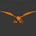 Orange Insect With Large Wings On Dark Reflective Background Surface