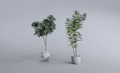 Modern potted plant combination 3d model