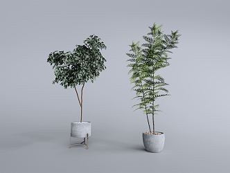 Modern potted plant combination 3d model