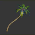 Tall Curved Palm Tree With Green Leaves And Brown Trunk On Gray Background