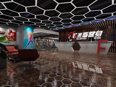 Meisi Fitness Gym Interior With Reception Desk And Hexagonal Ceiling Design 3d model
