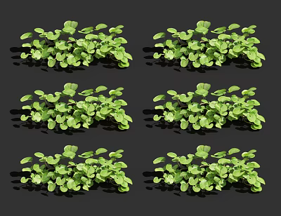 modern plants 3d model modern plants 3d model