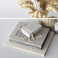 Books Dried Flowers Vase Jewelry 3d model