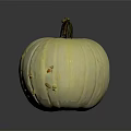 Fresh Yellow Pumpkin with Green Stem on Black Background and Shiny Reflection 3d model