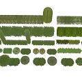 Diverse Shrub Varieties With Trimmed Shapes And Different Sizes For Garden Landscaping