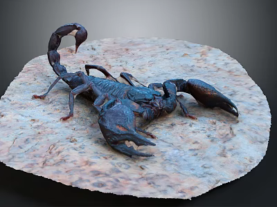 Detailed Dark Scorpion With Curved Tail Resting On Natural Stone Surface 3d model